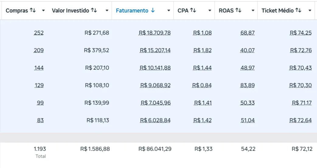 Print Dados do Meta Ads